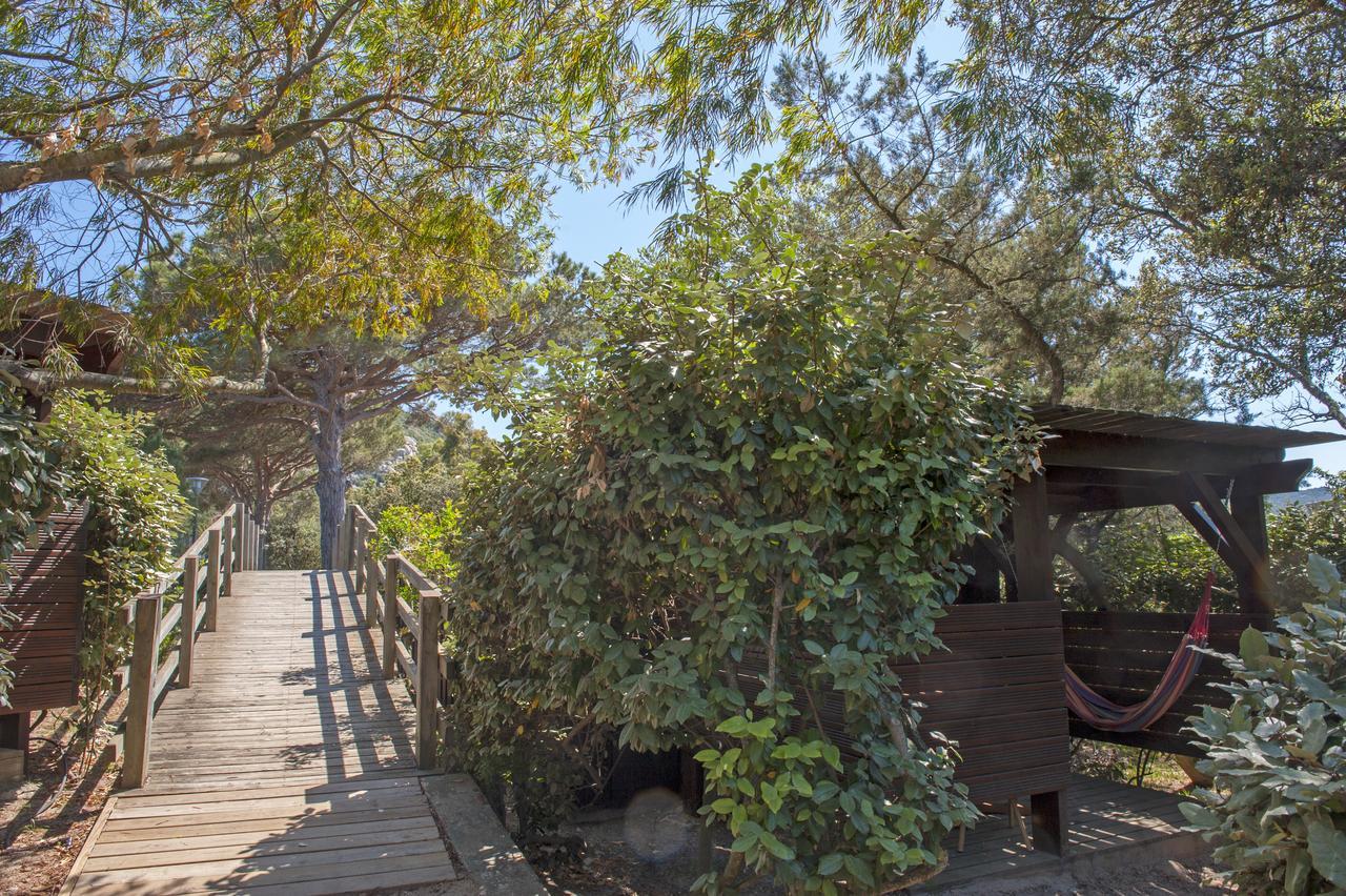 Résidence Mobydick Porto Vecchio Exterior foto