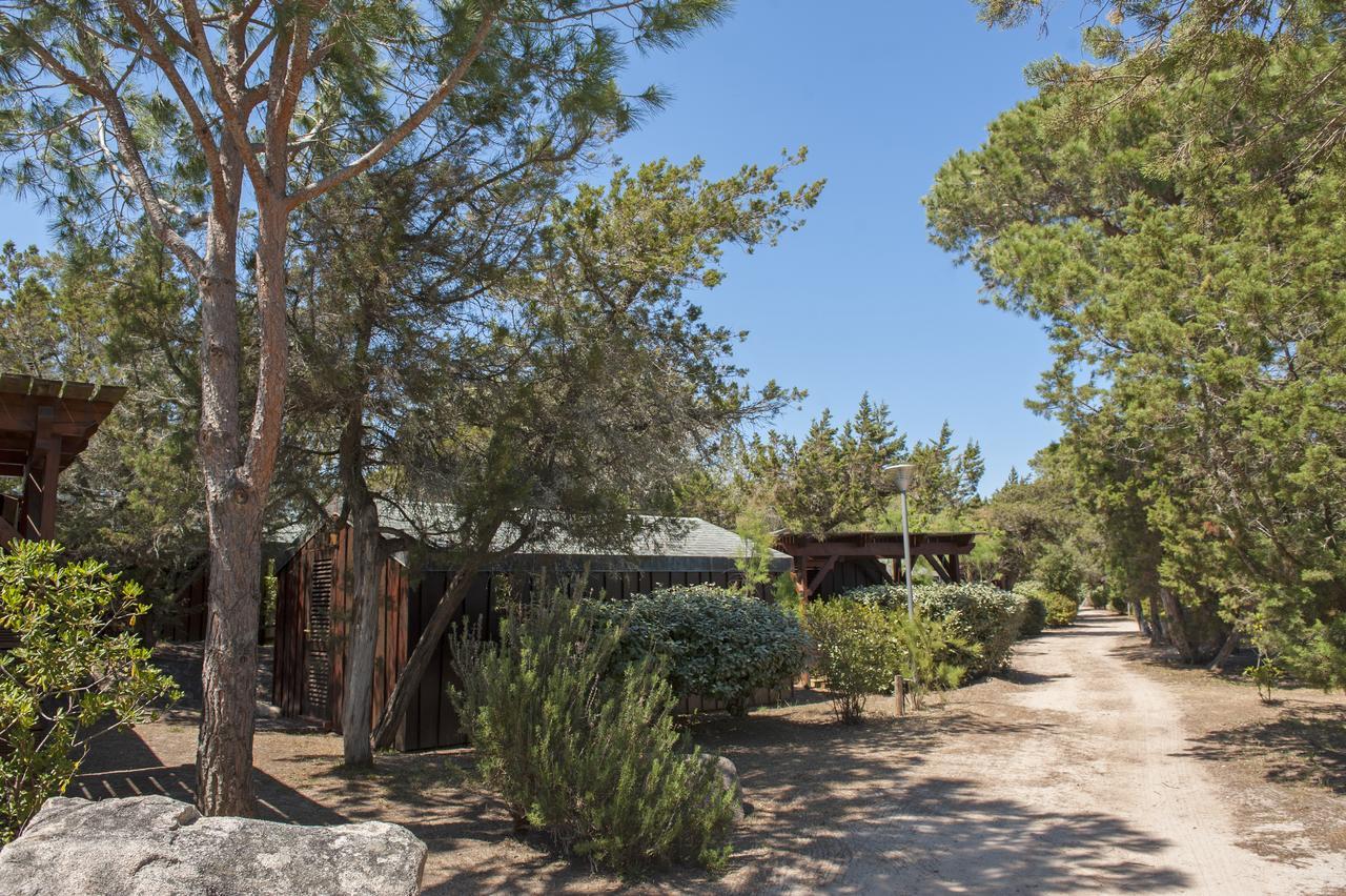 Résidence Mobydick Porto Vecchio Exterior foto